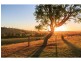 92 Hillsborough Road, Maitland Vale NSW 2320