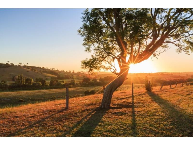 92 Hillsborough Road, Maitland Vale NSW 2320