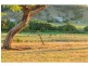 92 Hillsborough Road, Maitland Vale NSW 2320