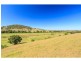 92 Hillsborough Road, Maitland Vale NSW 2320