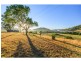 92 Hillsborough Road, Maitland Vale NSW 2320