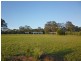 169 Talga Road, Lovedale NSW 2325