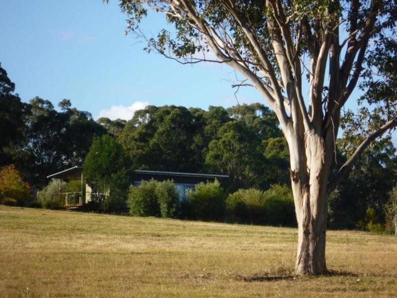 169 Talga Road, Lovedale NSW 2325