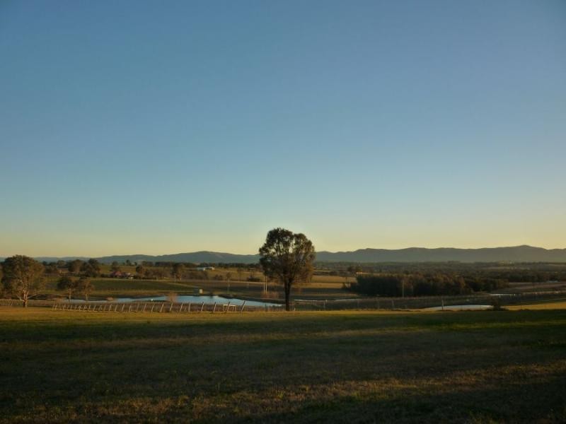 169 Talga Road, Lovedale NSW 2325