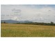 L2 Old North Road, Pokolbin NSW 2320