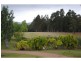 342 Deasys Road, Pokolbin NSW 2320