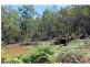 Cedar Creek NSW 2325