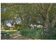 378 Tocal Road, Mindaribba NSW 2320