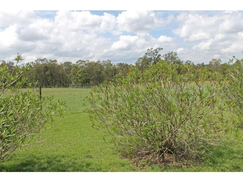 1427 Old Maitland Road, Sawyers Gully NSW 2326