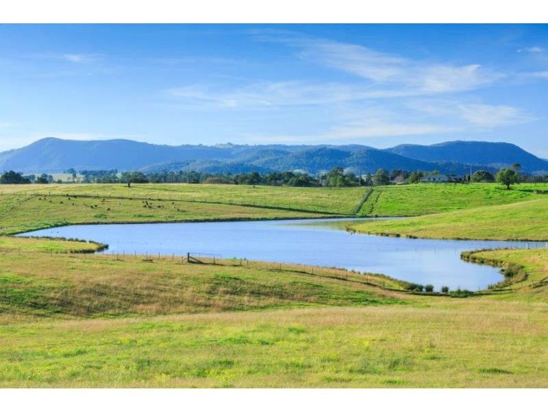 485 Luskintyre Road, Luskintyre NSW 2321