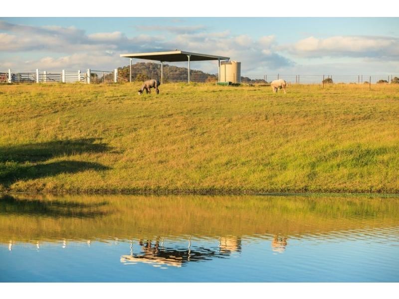 485 Luskintyre Road, Luskintyre NSW 2321