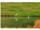485 Luskintyre Road, Luskintyre NSW 2321