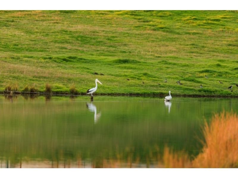 485 Luskintyre Road, Luskintyre NSW 2321