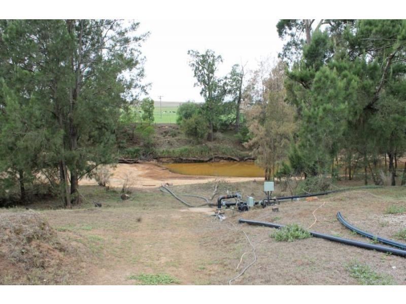 703 Milbrodale Road, Broke NSW 2330