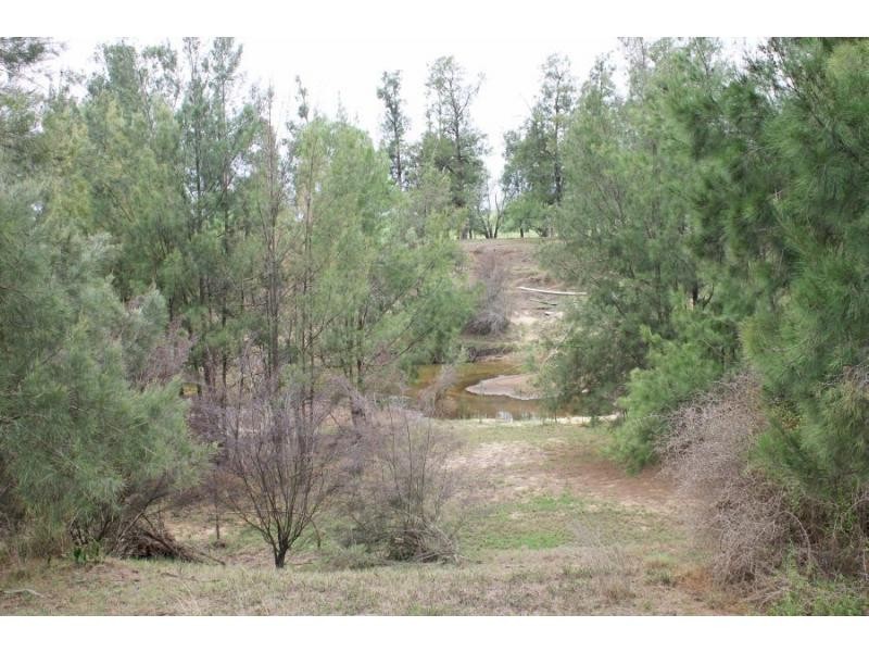 703 Milbrodale Road, Broke NSW 2330