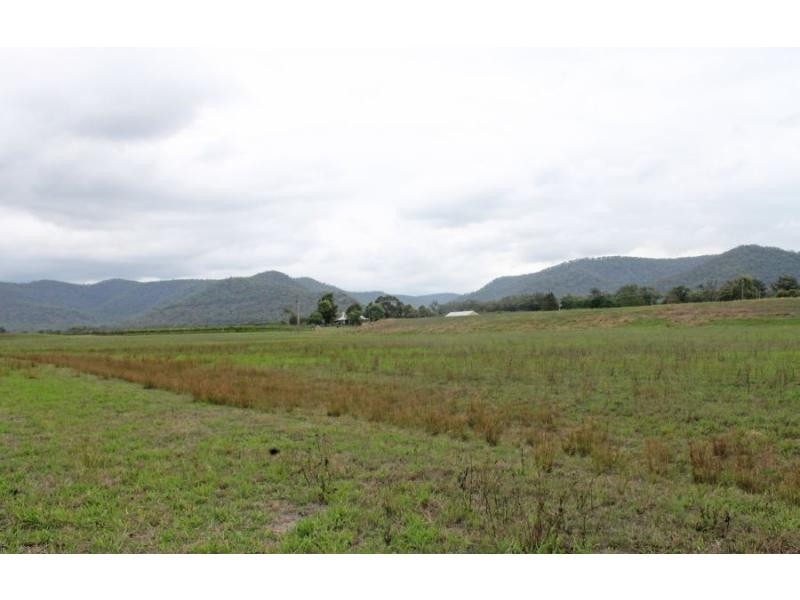 703 Milbrodale Road, Broke NSW 2330