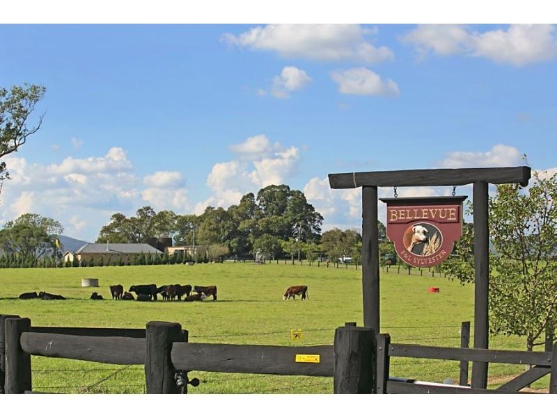 378 Tocal Road, Mindaribba NSW 2320