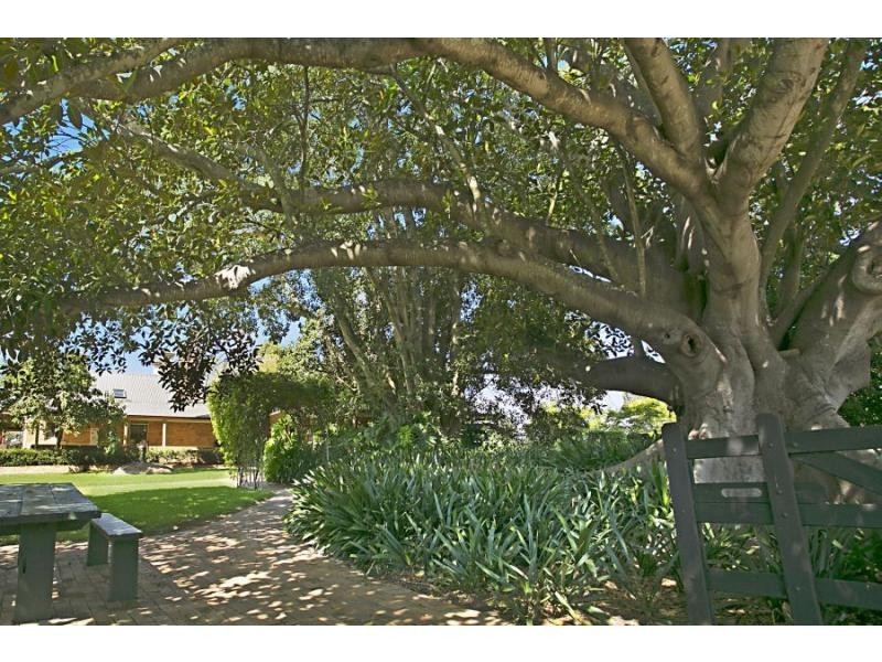 378 Tocal Road, Mindaribba NSW 2320