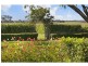 378 Tocal Road, Mindaribba NSW 2320