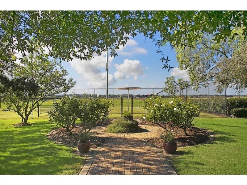 378 Tocal Road, Mindaribba NSW 2320