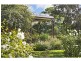 378 Tocal Road, Mindaribba NSW 2320