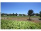 Lot 45 Kelman Estate, Pokolbin NSW 2320