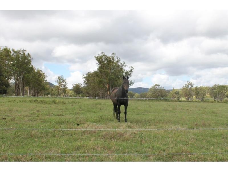 995 Sandy Creek Road, Quorrobolong NSW 2325