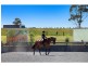 665 Luskintyre Road, Luskintyre NSW 2321