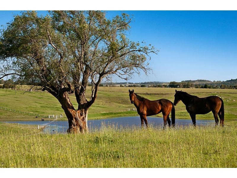 665 Luskintyre Road, Luskintyre NSW 2321