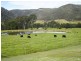 Congewai NSW 2325
