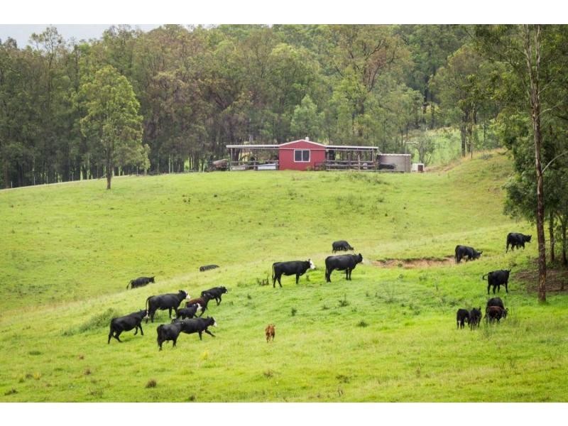 Congewai NSW 2325