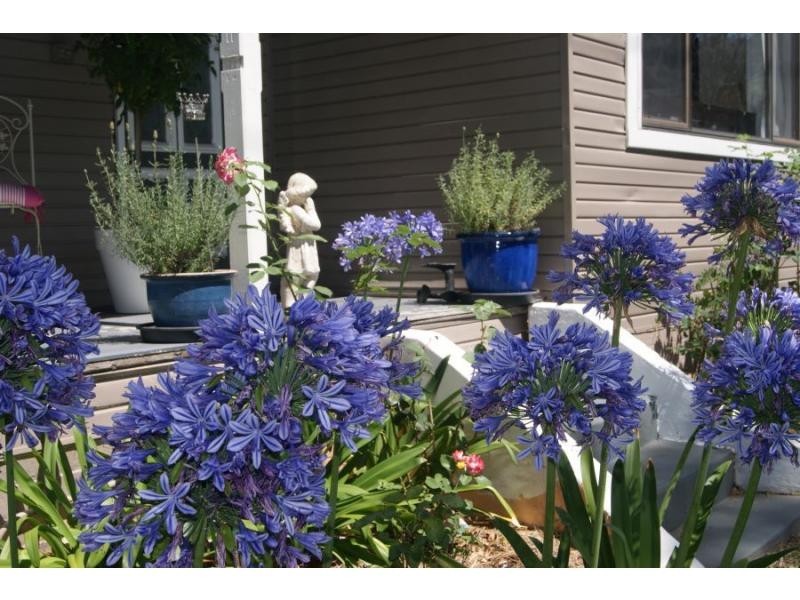 1281 Leggetts Drive, Mount Vincent NSW 2323