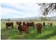 Congewai NSW 2325