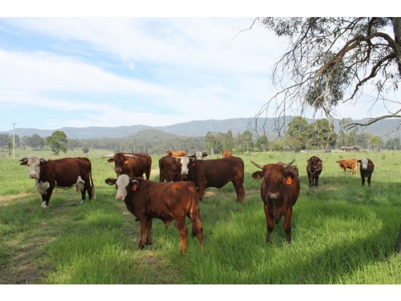 Congewai NSW 2325