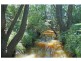 Congewai NSW 2325