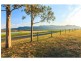 Pokolbin NSW 2320