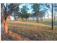Pokolbin NSW 2320