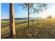Pokolbin NSW 2320