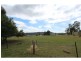 45-47 Wollombi Street, Broke NSW 2330