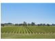 547 Old North Road, Pokolbin NSW 2320