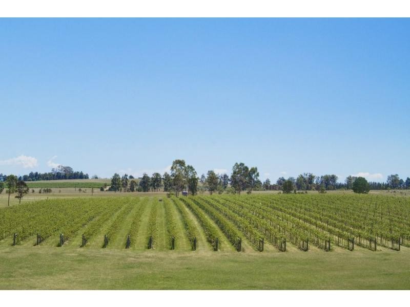 547 Old North Road, Pokolbin NSW 2320