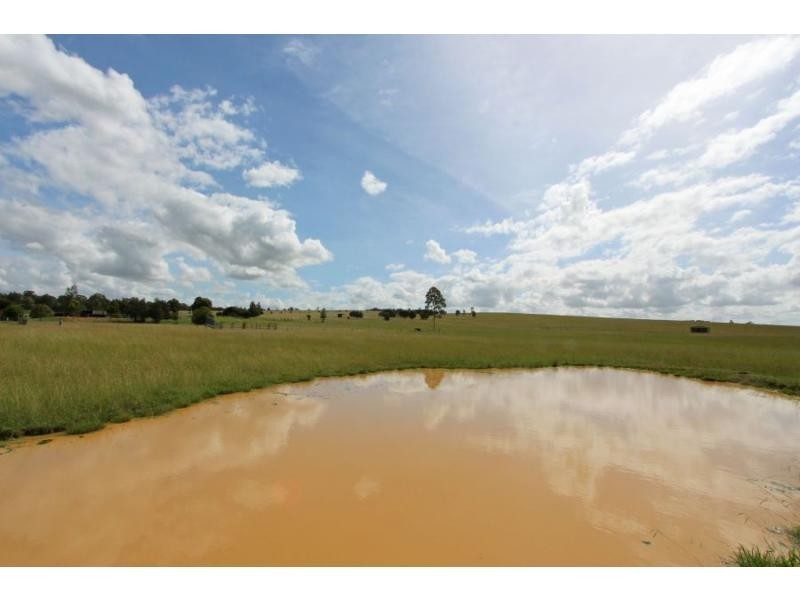 312 Mitchells Line Of Road, Whittingham NSW 2330
