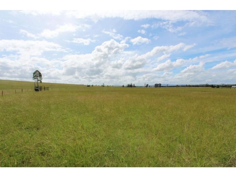 312 Mitchells Line Of Road, Whittingham NSW 2330