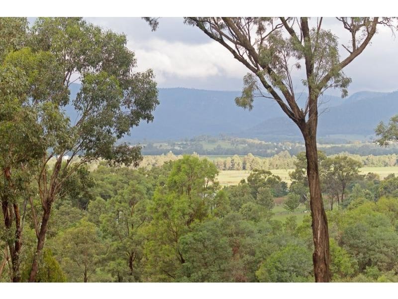 596 Milbrodale Road, Broke NSW 2330
