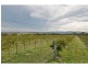 1274 Wine Country Drive, Rothbury NSW 2320