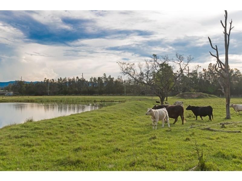 1274 Wine Country Drive, Rothbury NSW 2320