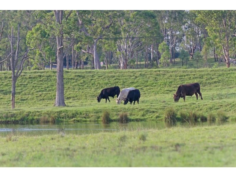 1274 Wine Country Drive, Rothbury NSW 2320