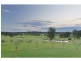 Mount View NSW 2325