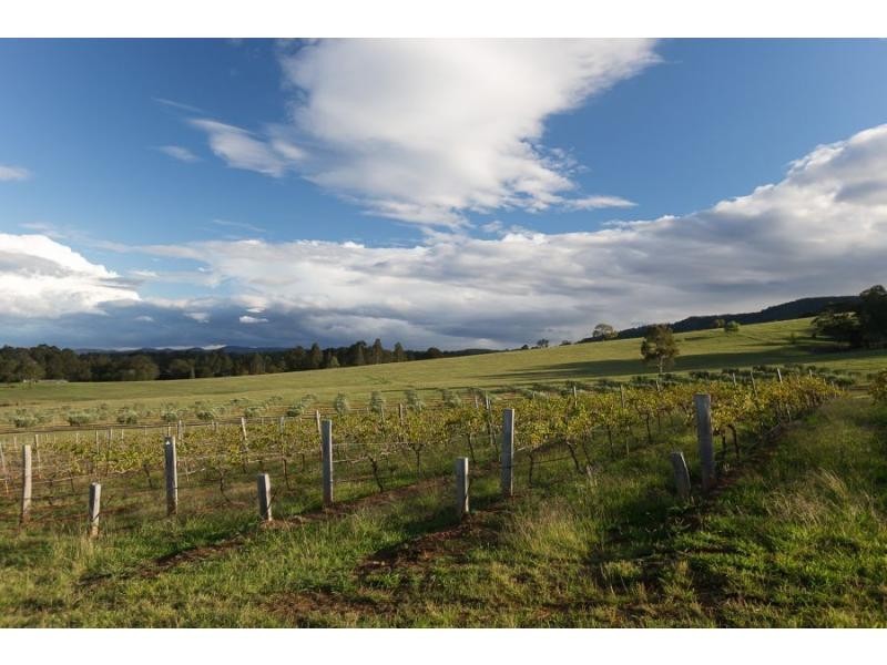 Mount View NSW 2325