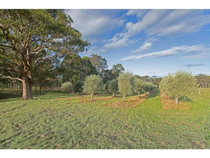 Mount View NSW 2325